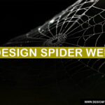 DESIGN SPIDER WEB